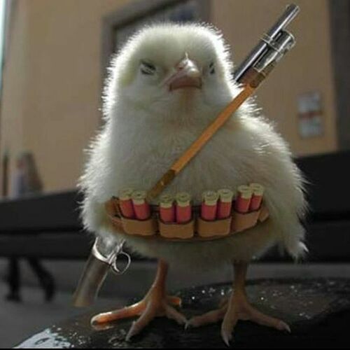 fa3ae5c8a34eed6114b59369b67ade4e