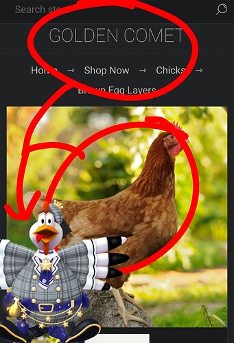 Untitled1282_20250602112040