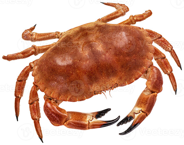 crab