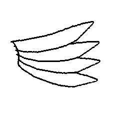 123 wings anim