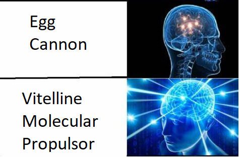 meme