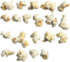PopcornTypes